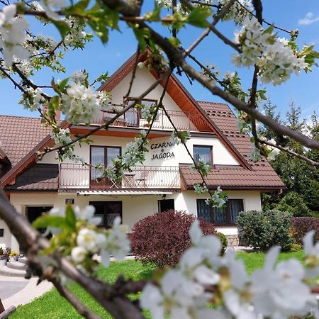 Czarna Jagoda Czarna Góra Εξωτερικό φωτογραφία